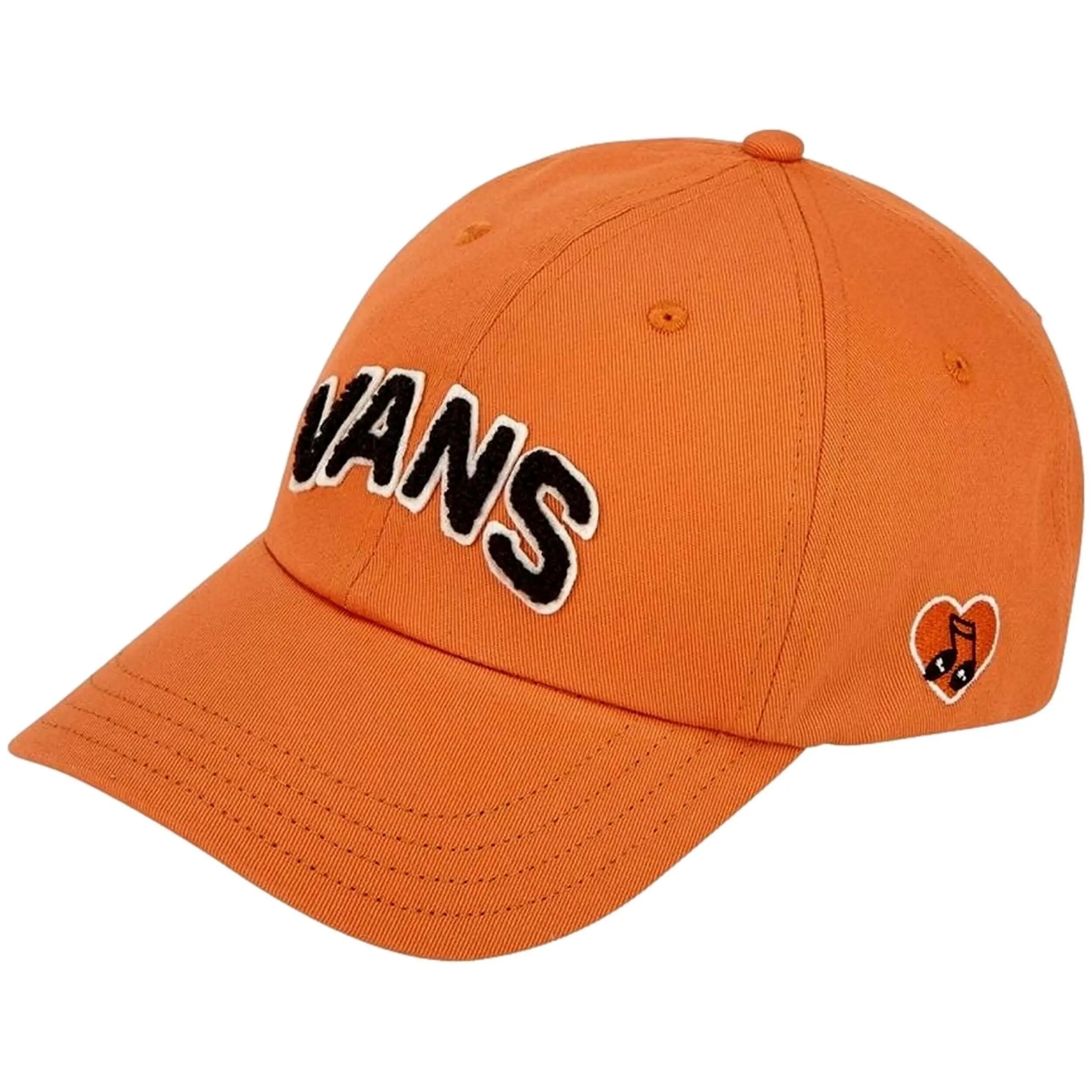 VANS picture