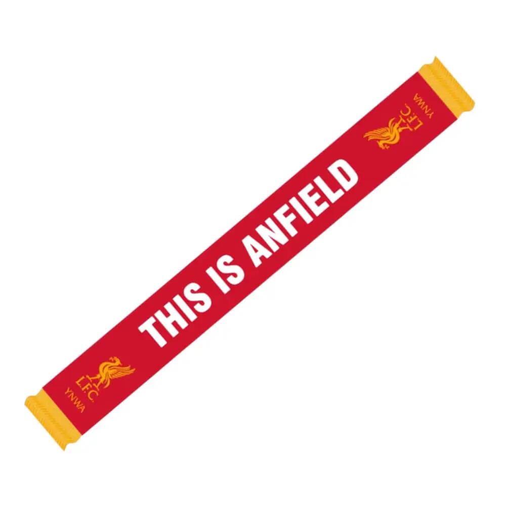 LIVERPOOL FC picture