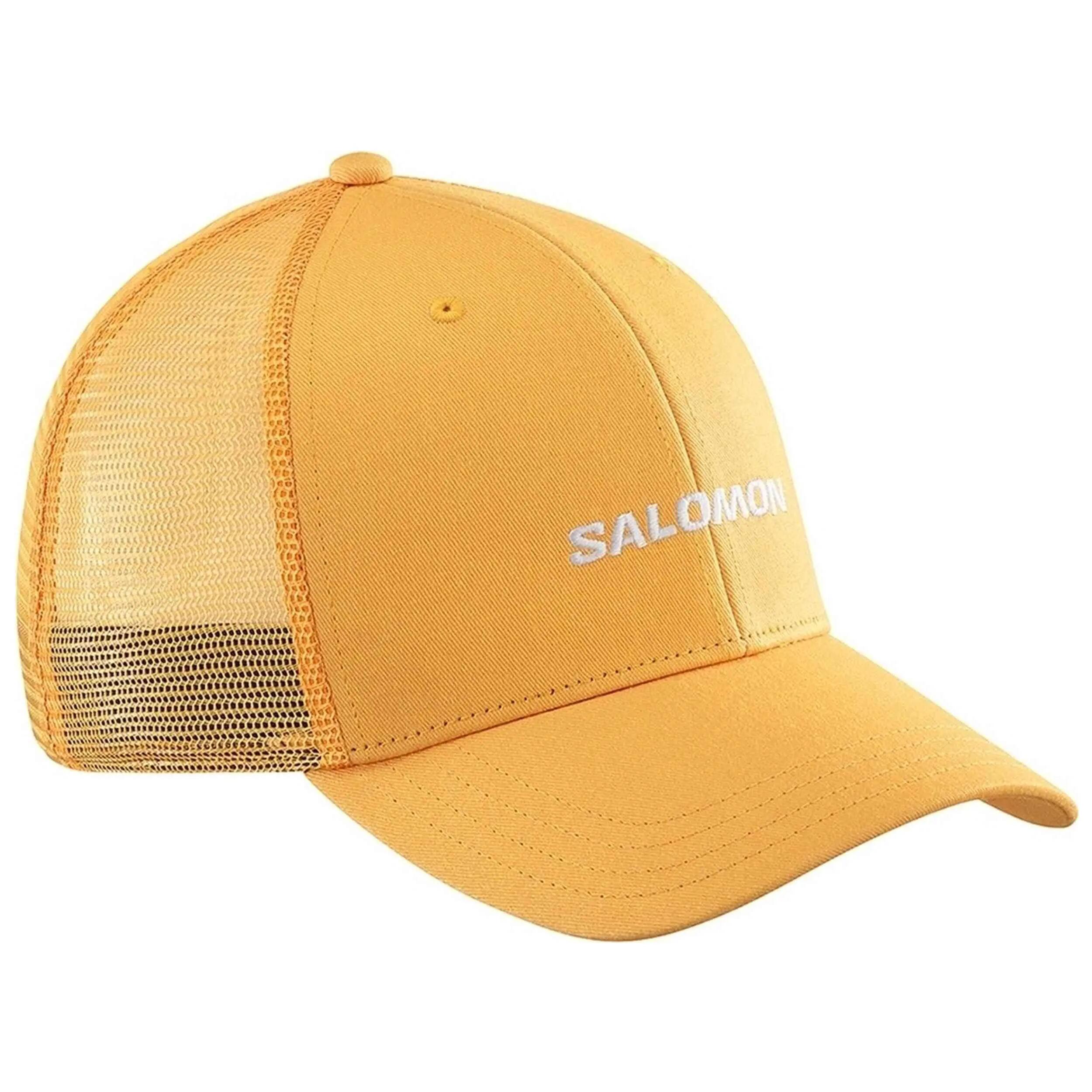 SALOMON picture