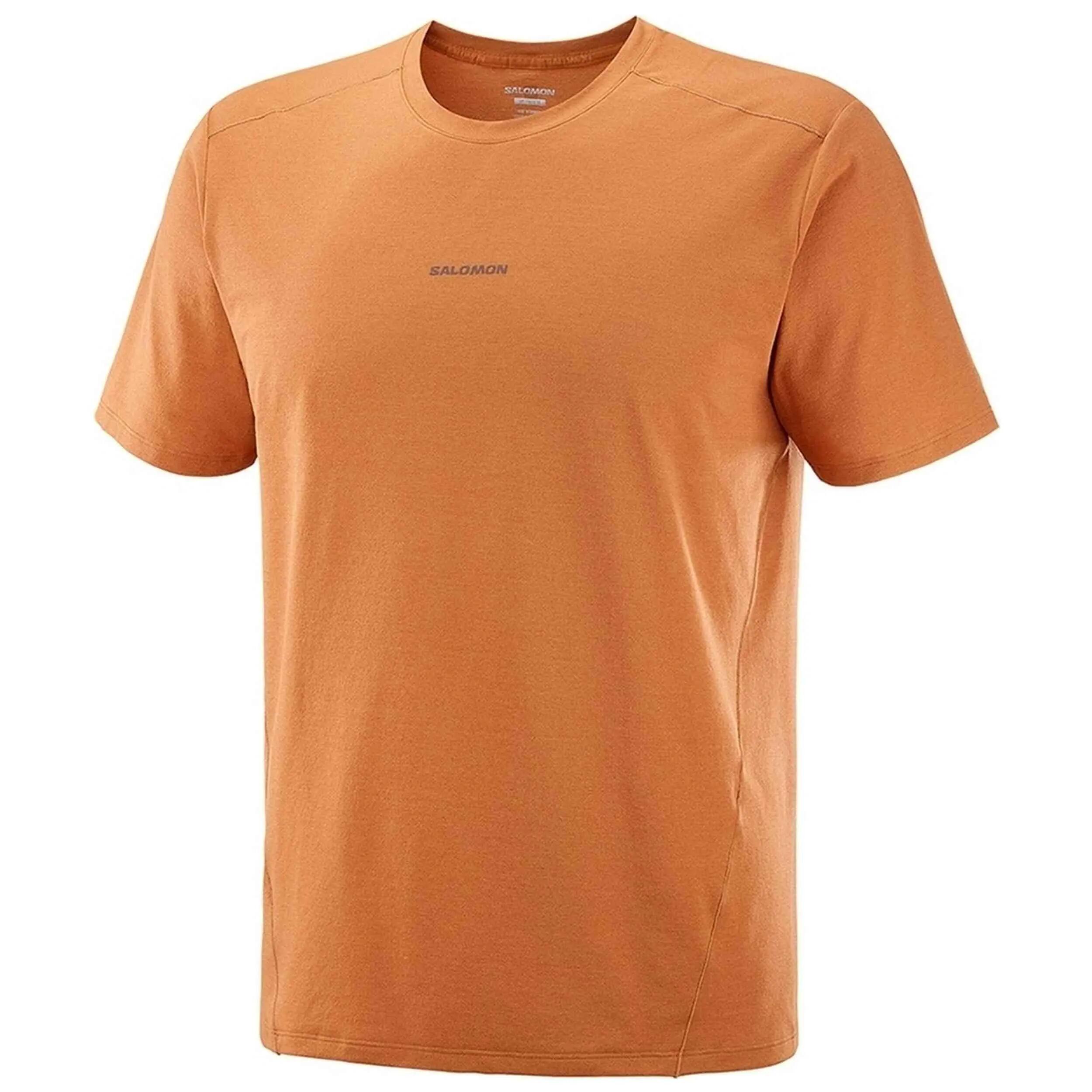 T-shirt Salomon modèle TRACKLINE pour homme 4/4