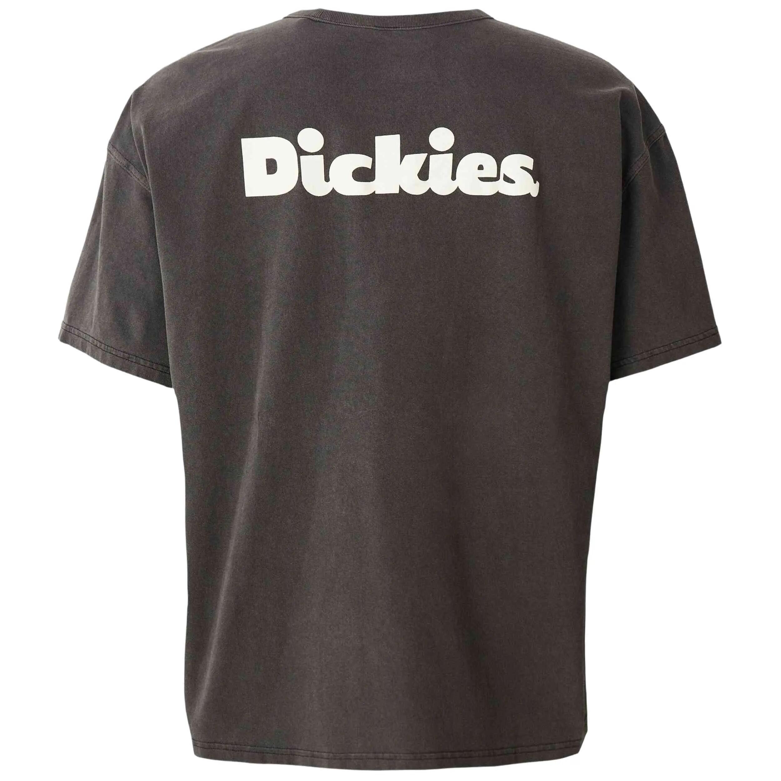Maglia a maniche corte Dickies modello DK0A87QRBLK1 per uomini 2/2