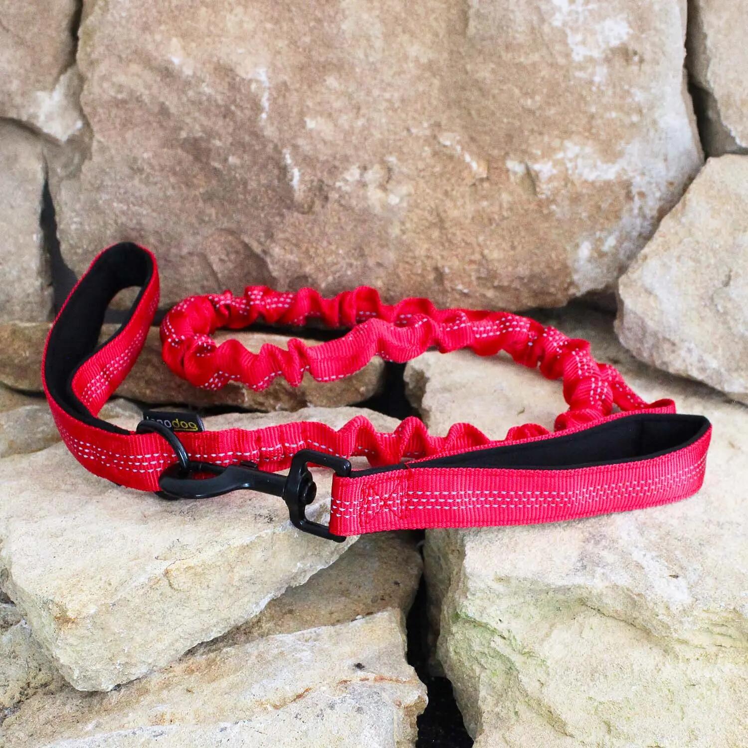 LAISSE INNODOG CONFORT avec ammortisseur 25mmX120cm rouge 2/2