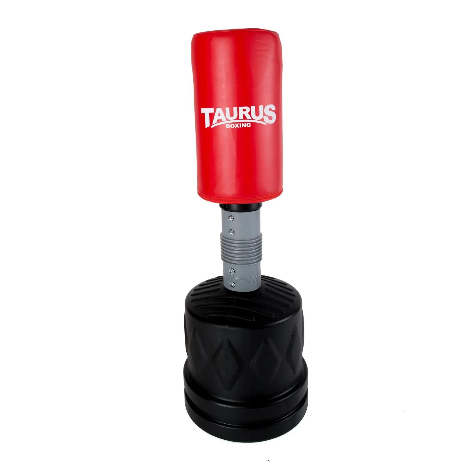 TAURUS picture