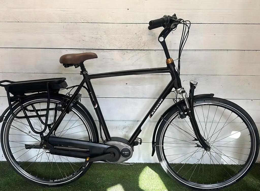 BATAVUS picture