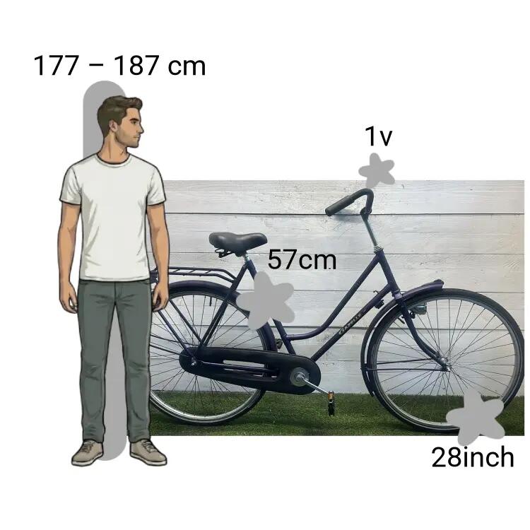 Gebraucht Gazelle Esprit 2/4