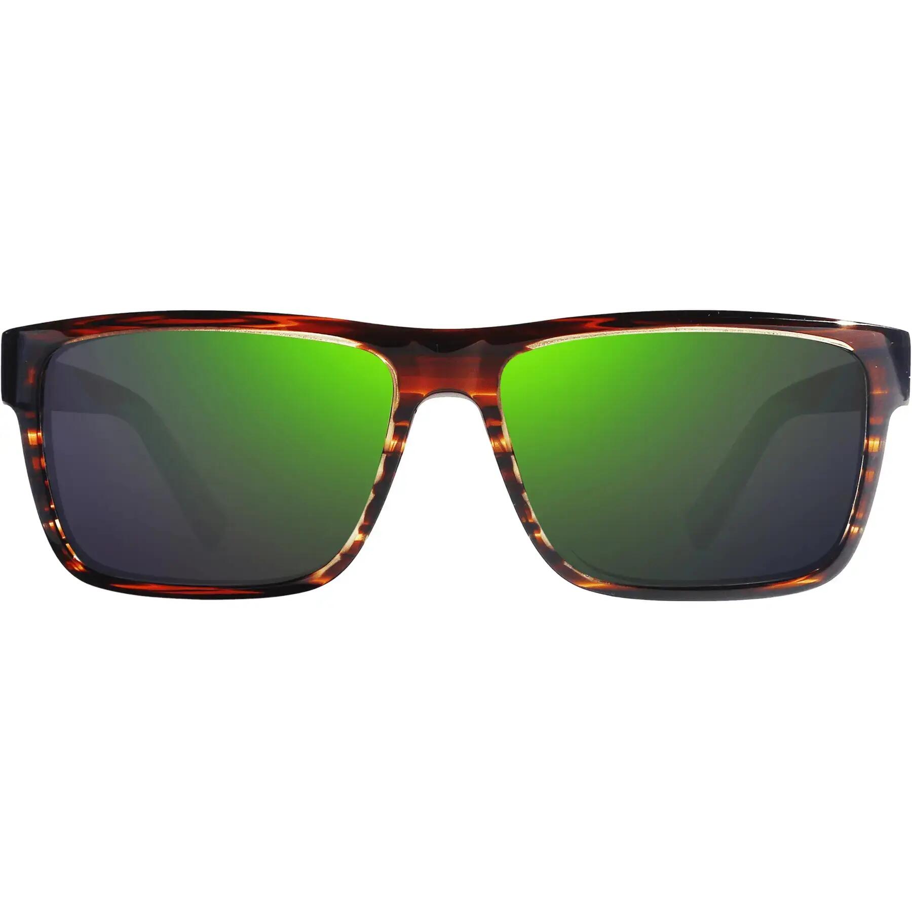 Okulary przeciwsłoneczne Revo Winston S 2/4