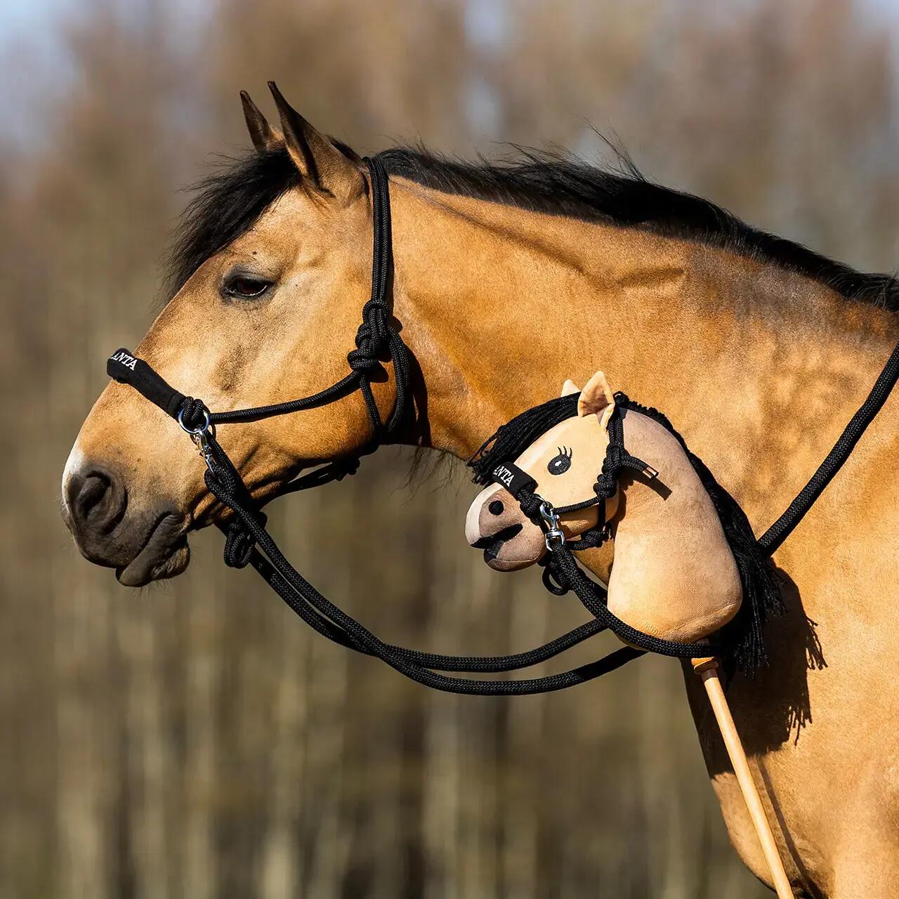 Licol pour cheval avec rênes QHP Nalanta 4/5