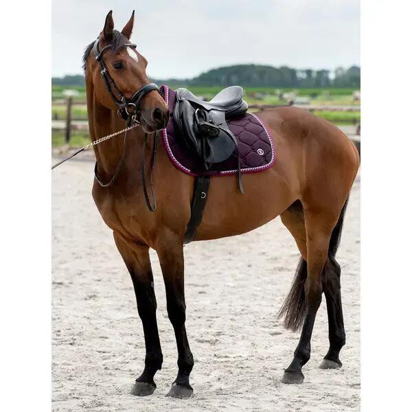 Saddle pad for horses PS of Sweden Jump Signature 2/4