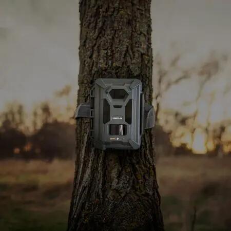 Wildkamera - Trail-Kamera - FORCE-24 4/4