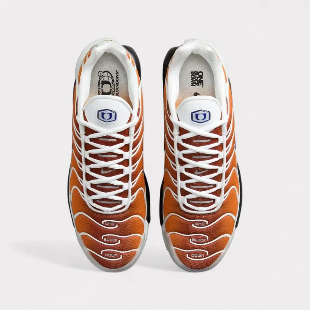 Nike Air Max Plus One Block Down - Chutney 4/6