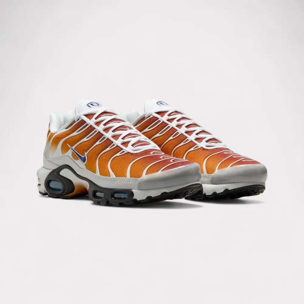Nike x One Block Down Air Max Plus SP 2/6