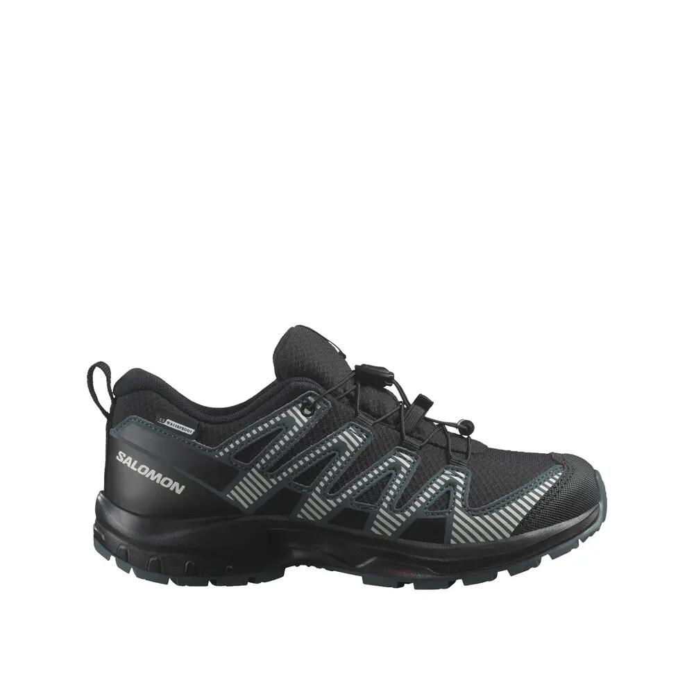 SALOMON picture
