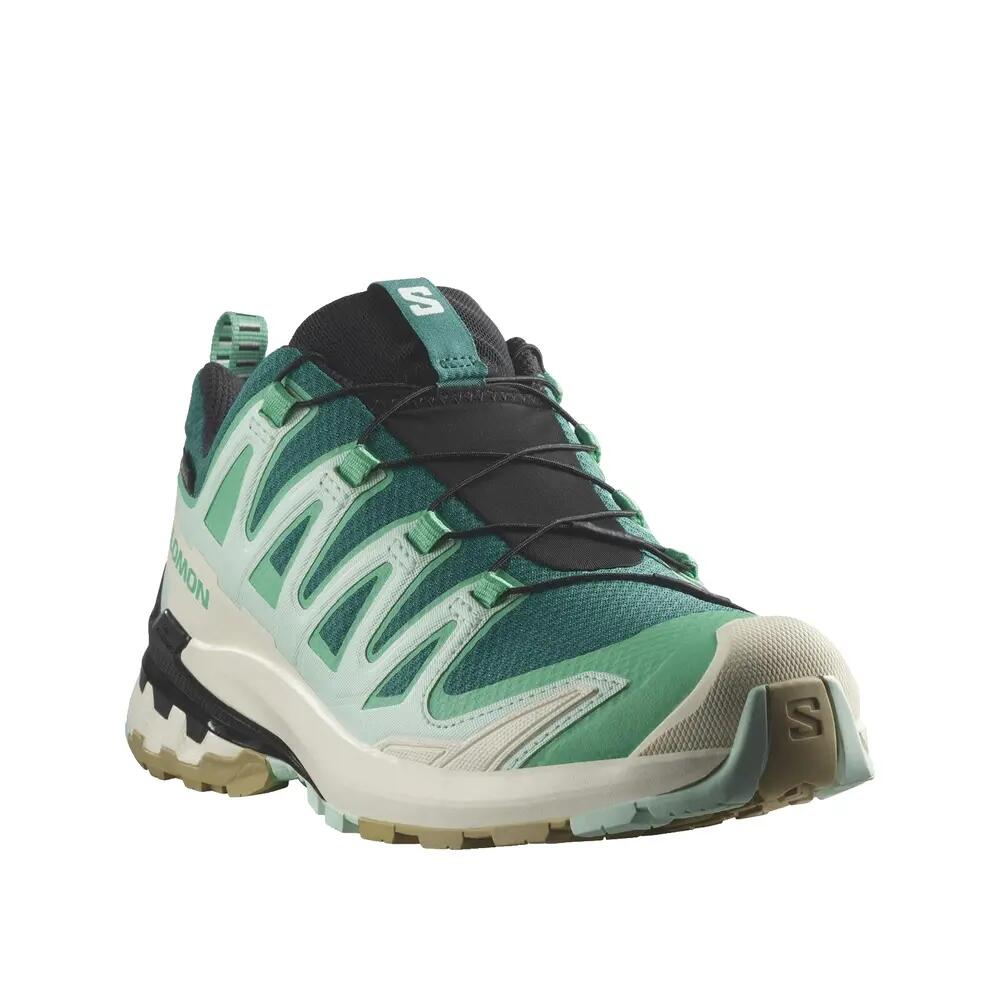 Trail schoenen Salomon XA Pro 3D V9 GTX Groen 6/10