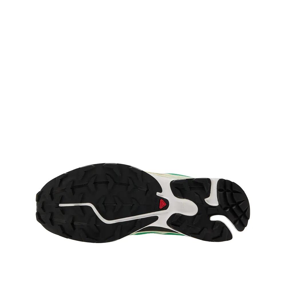 SALOMON picture