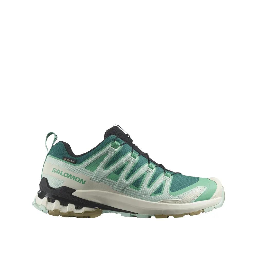 Trail schoenen Salomon XA Pro 3D V9 GTX Groen 3/10