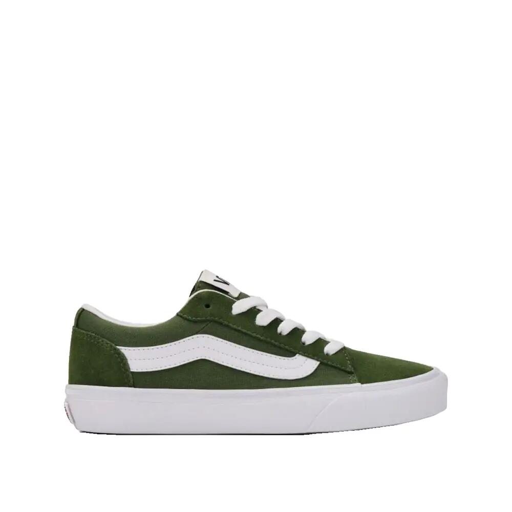 VANS picture