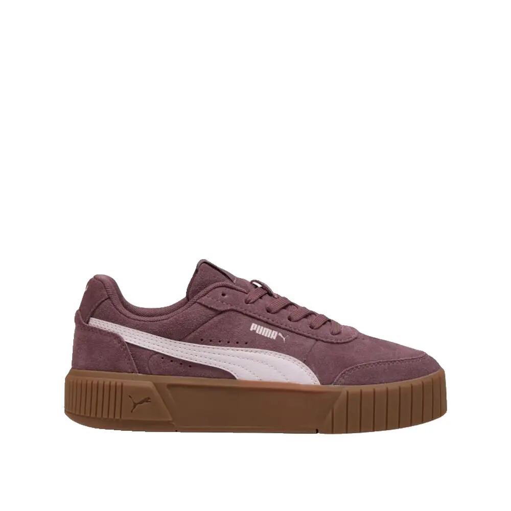 PUMA picture