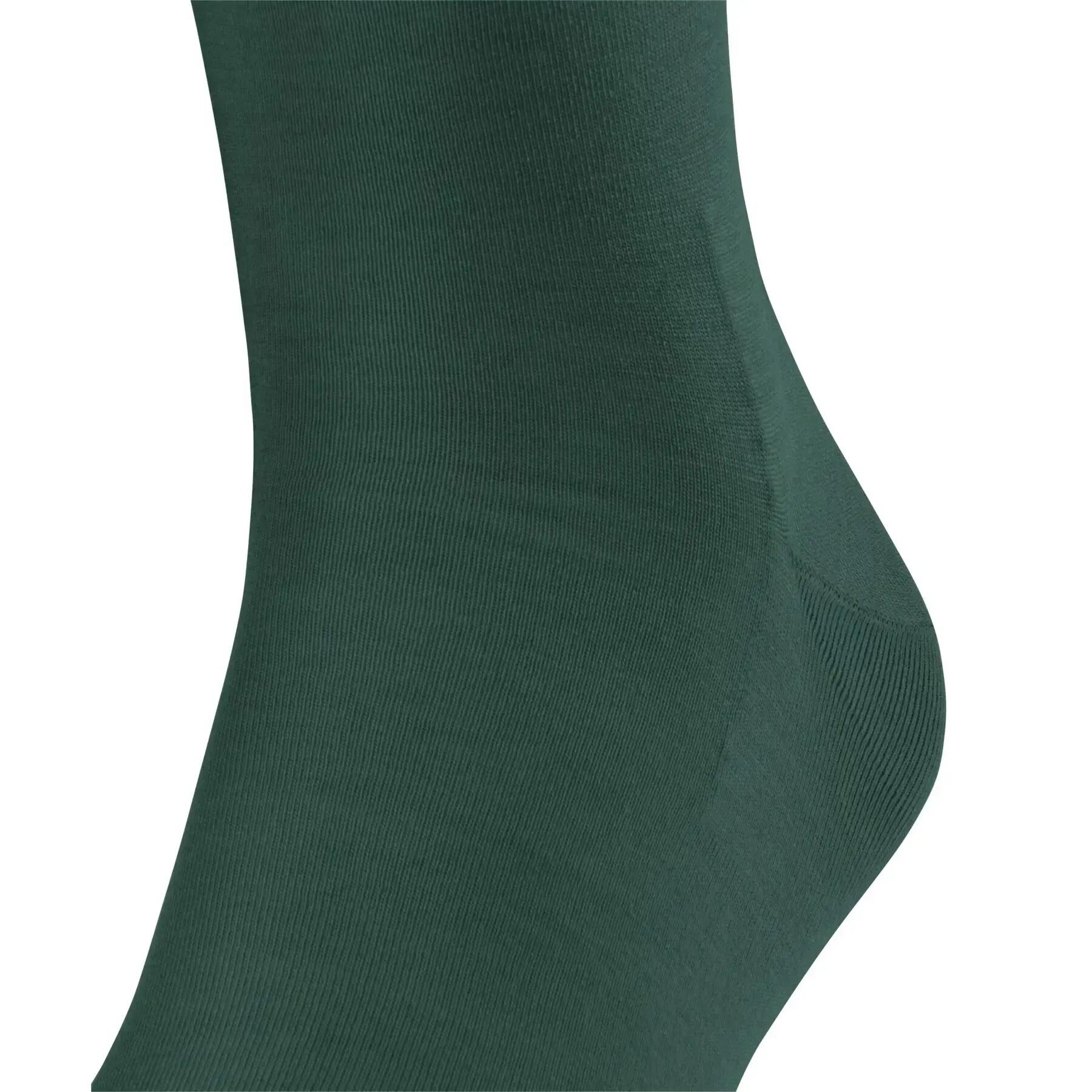 Kniesokken Falke ClimaWool 4/6