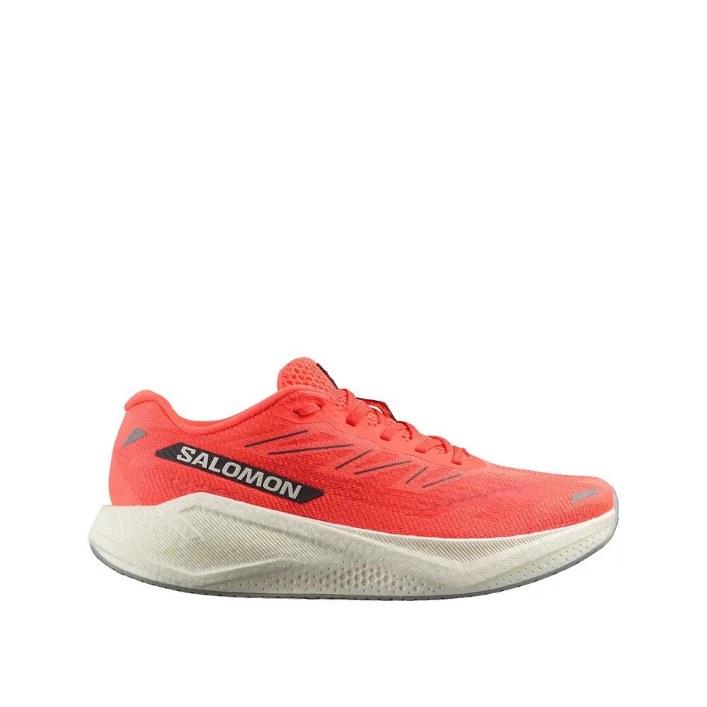 SALOMON picture