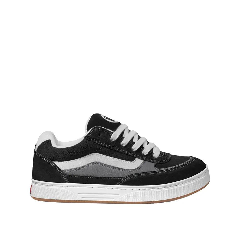 VANS picture