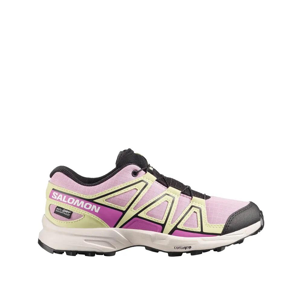 SALOMON picture