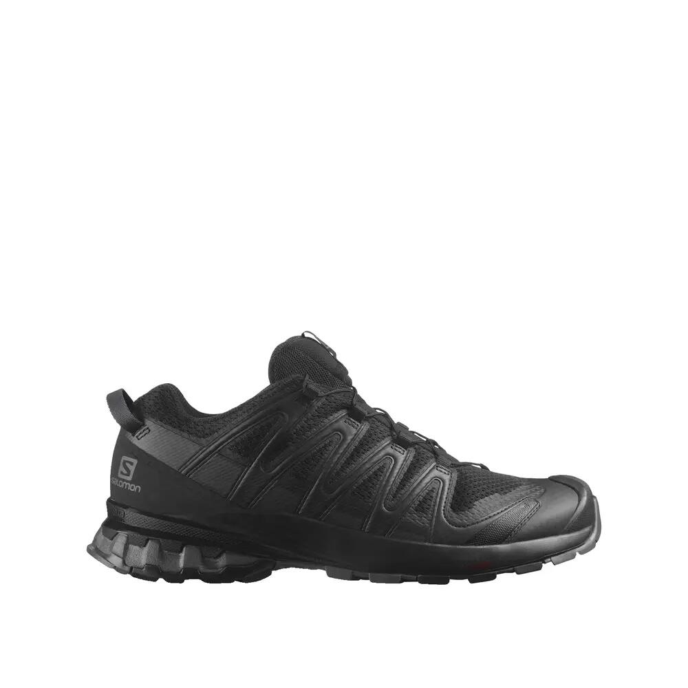 SALOMON picture