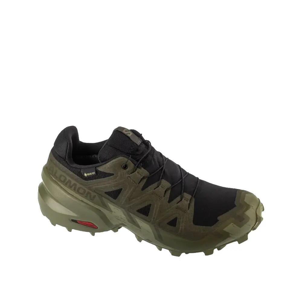 SALOMON picture