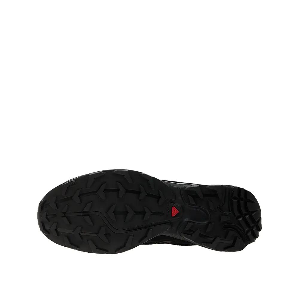 SALOMON picture