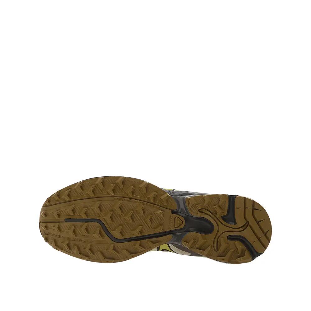 SALOMON picture