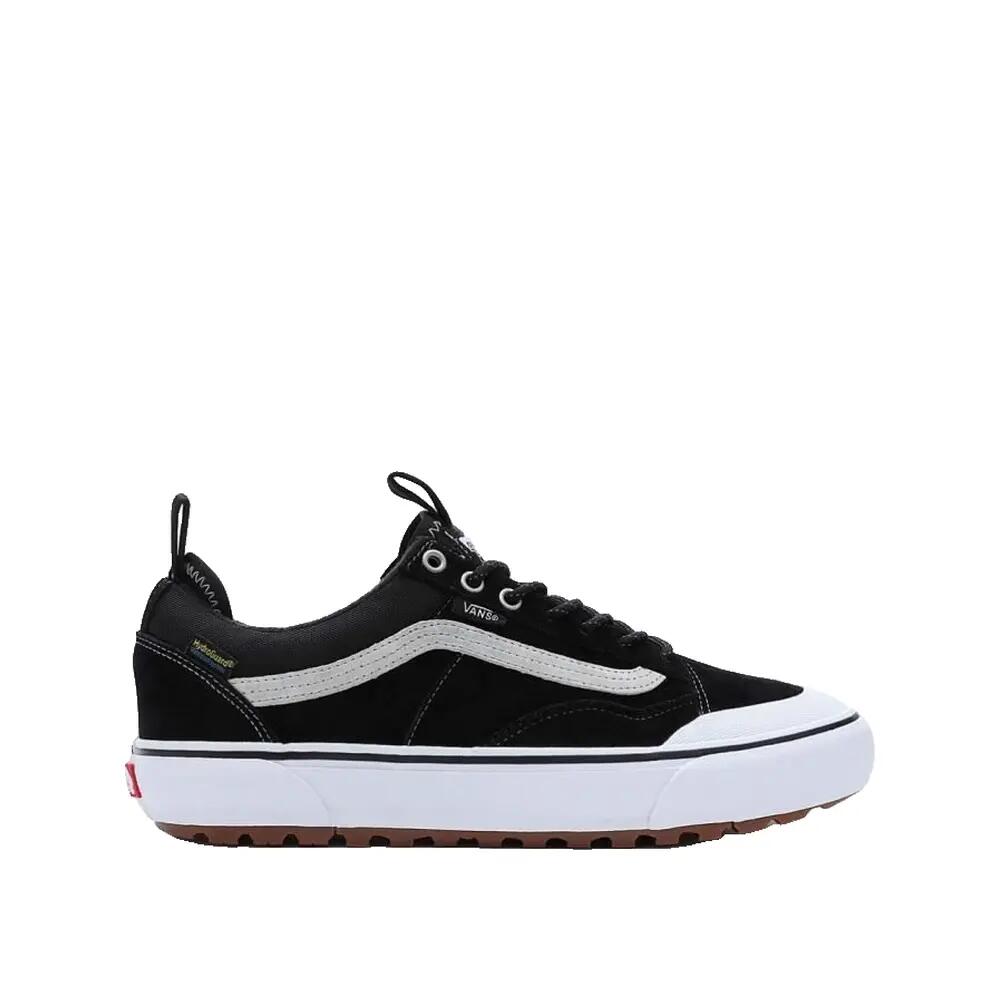 VANS picture