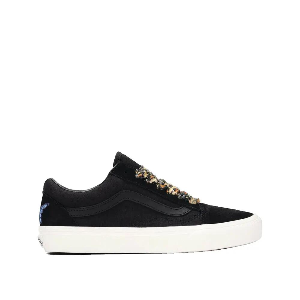VANS picture
