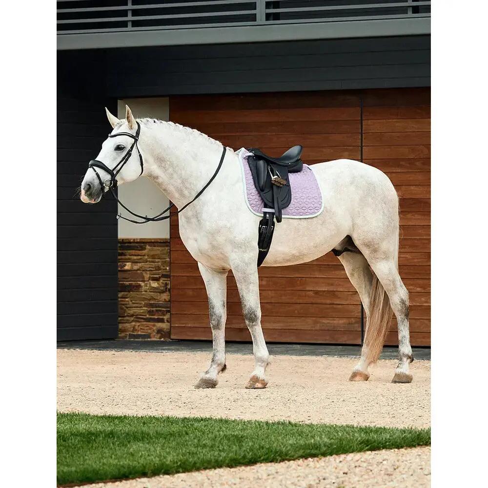 Tapis de dressage pour cheval Weatherbeeta Elite Air-Tec 5/5
