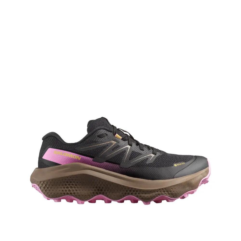 SALOMON picture