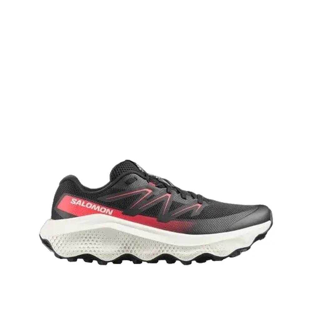 SALOMON picture