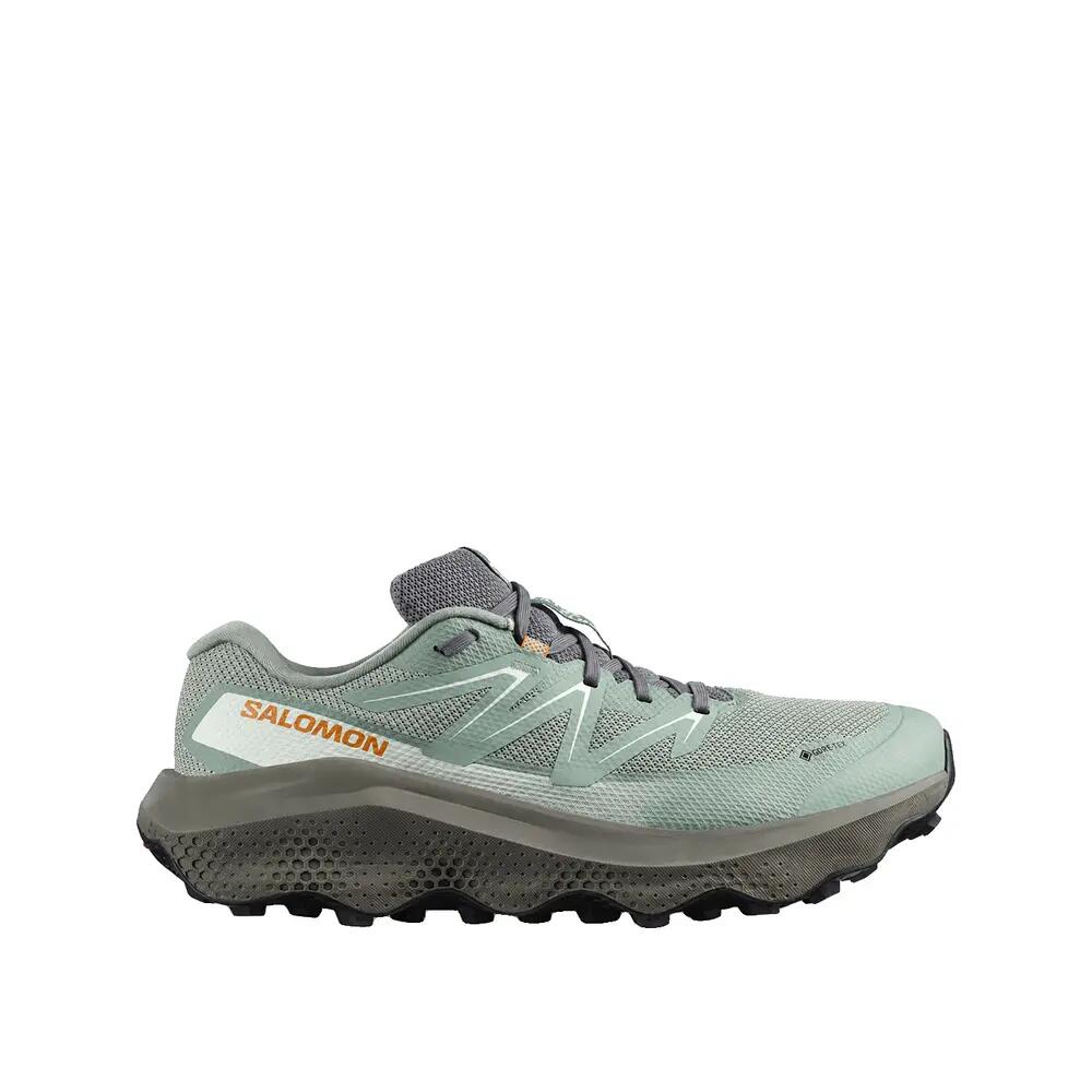 SALOMON picture
