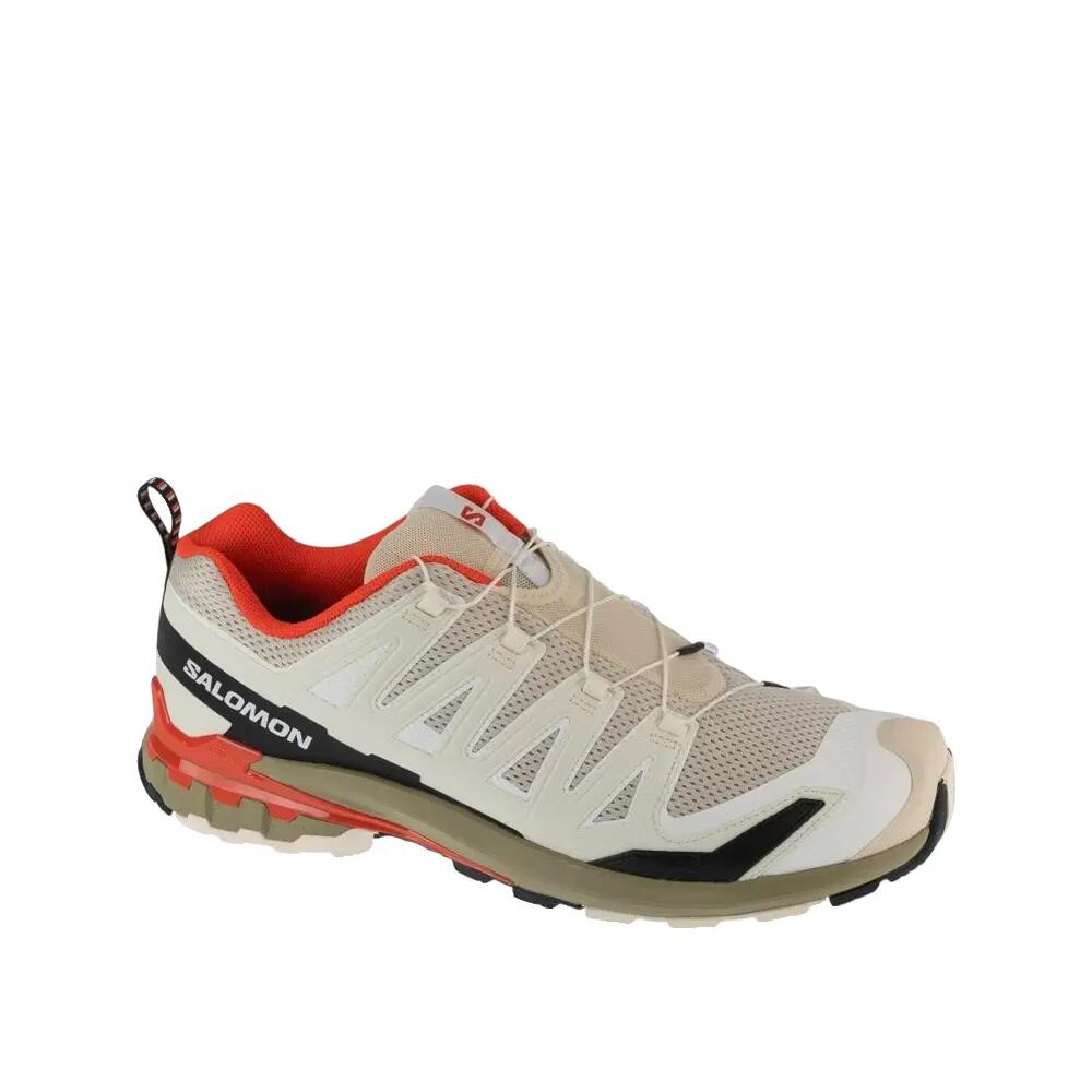 SALOMON picture