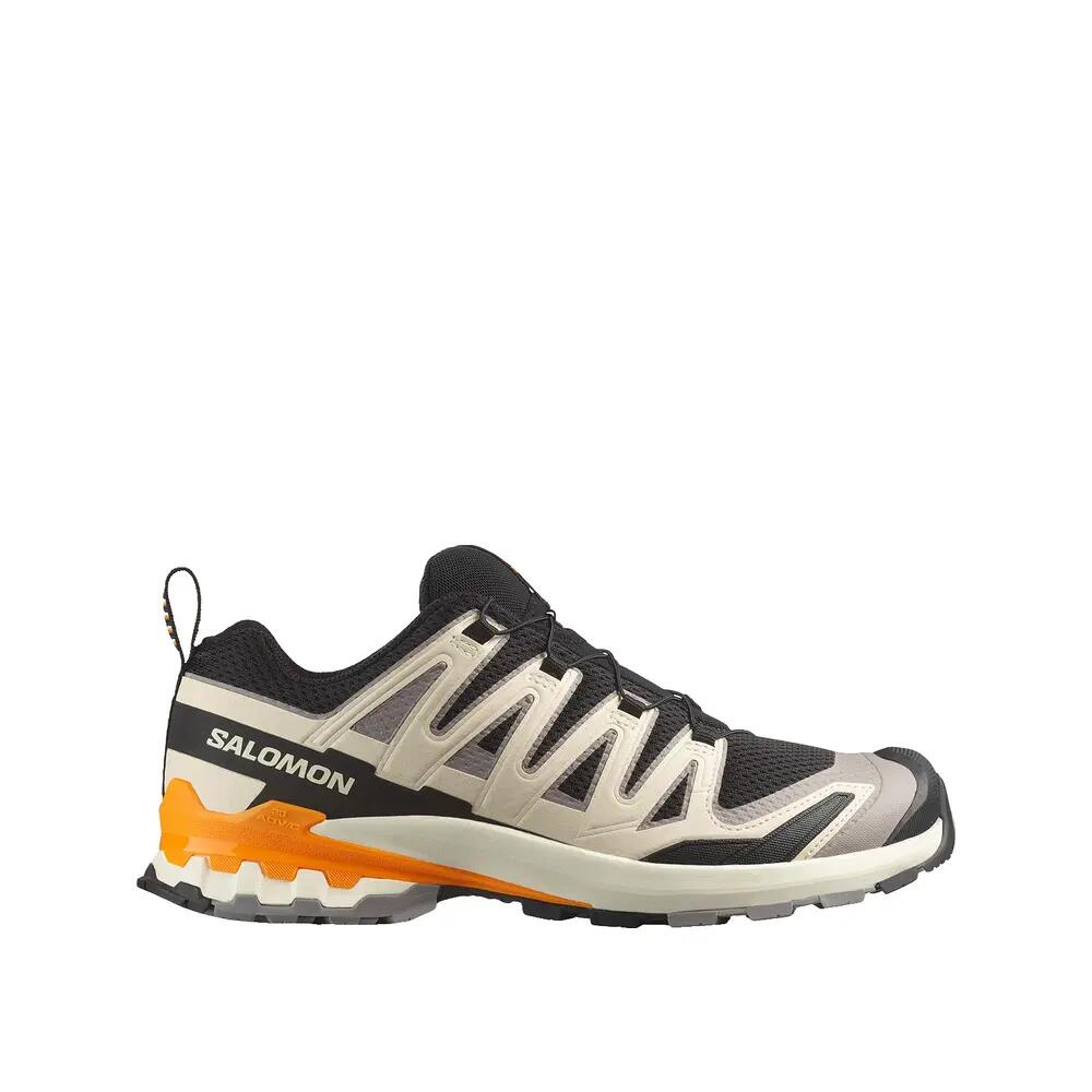 SALOMON picture