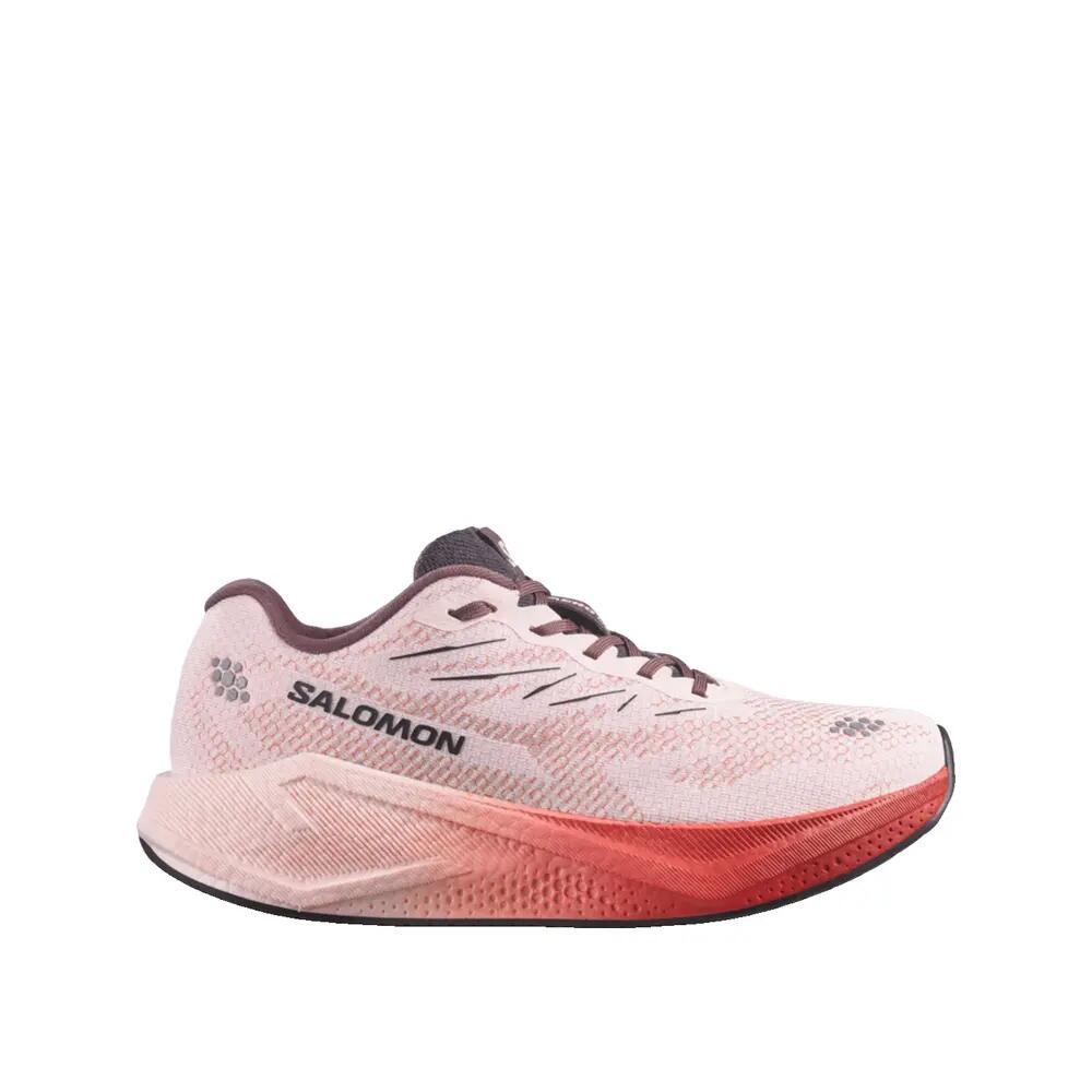 SALOMON picture