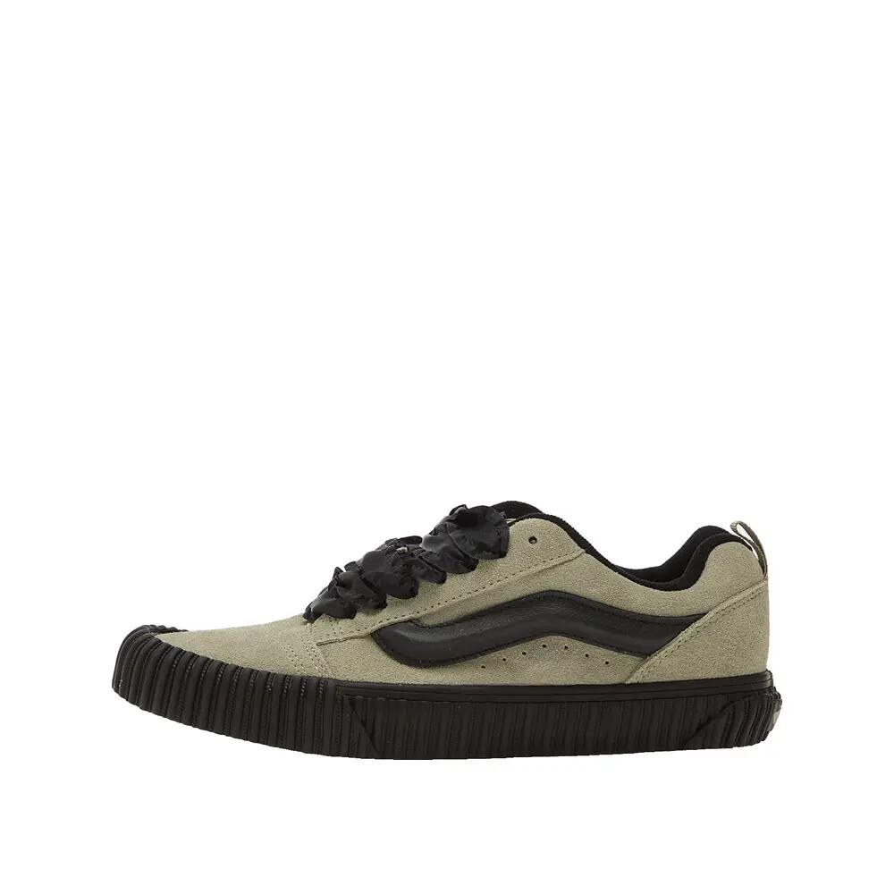 VANS picture