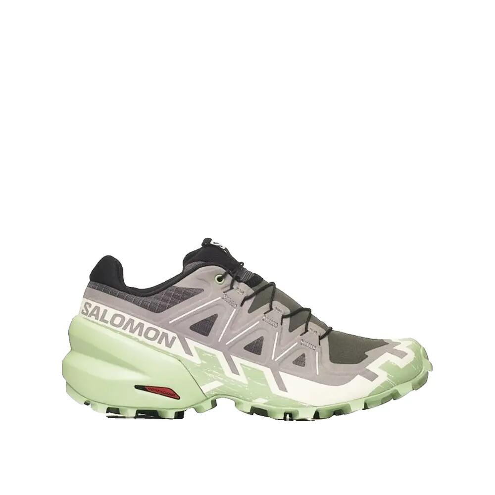 SALOMON picture