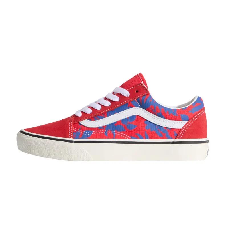 VANS picture