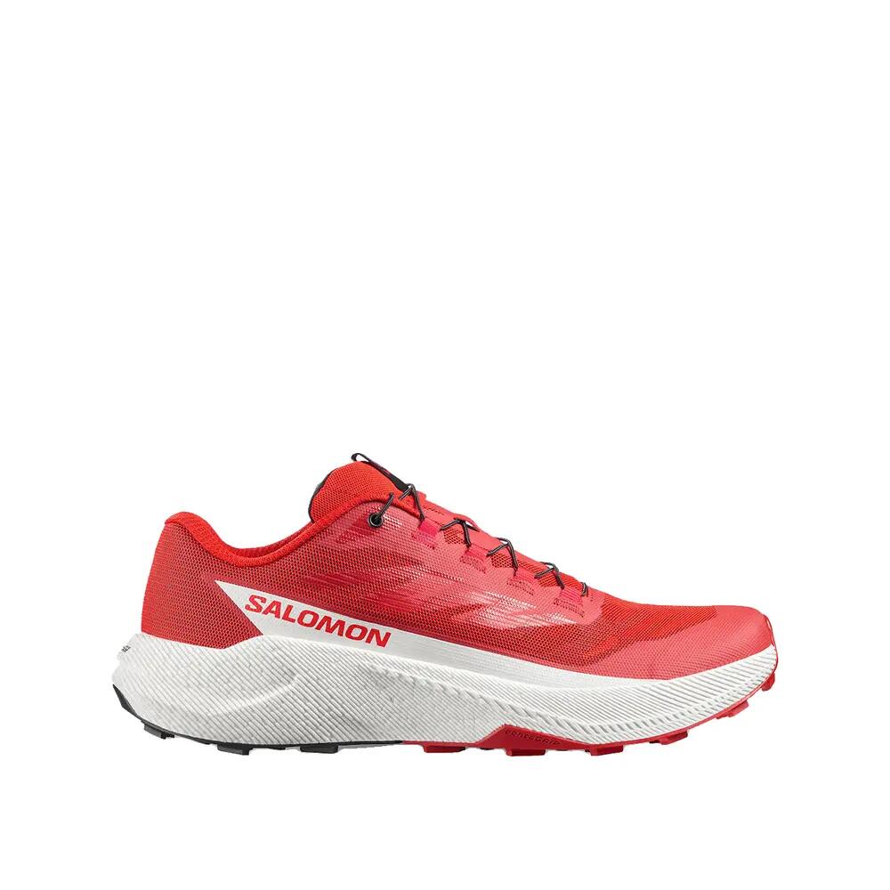 SALOMON picture