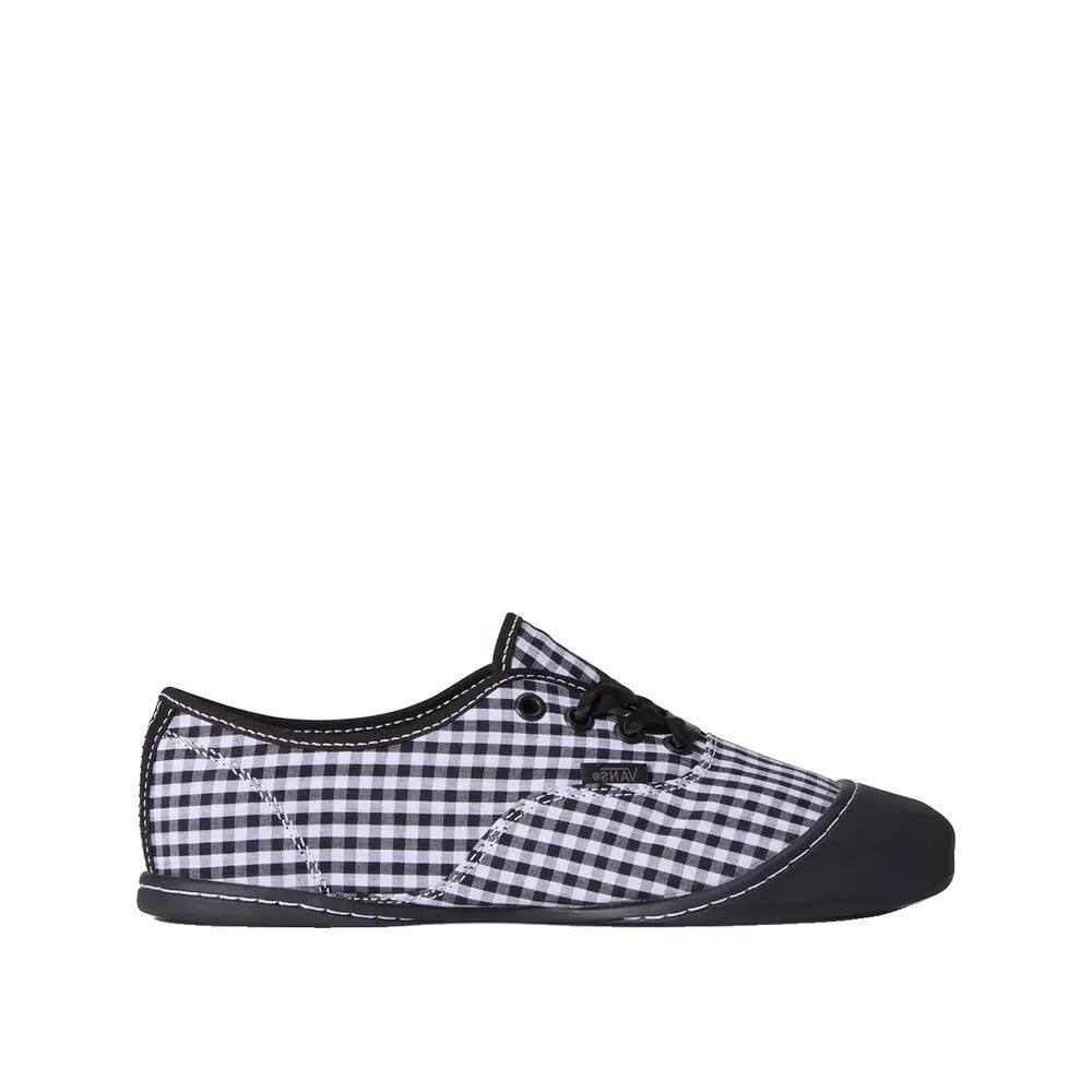 VANS picture
