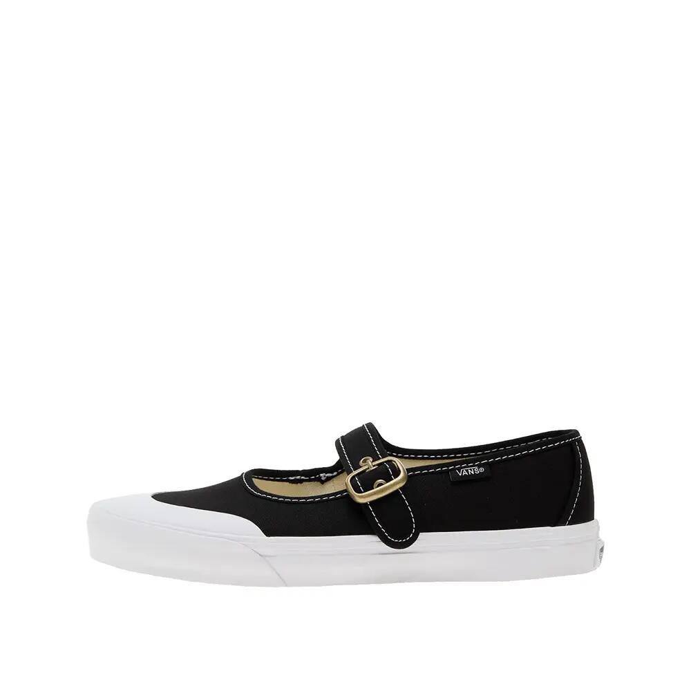 VANS picture