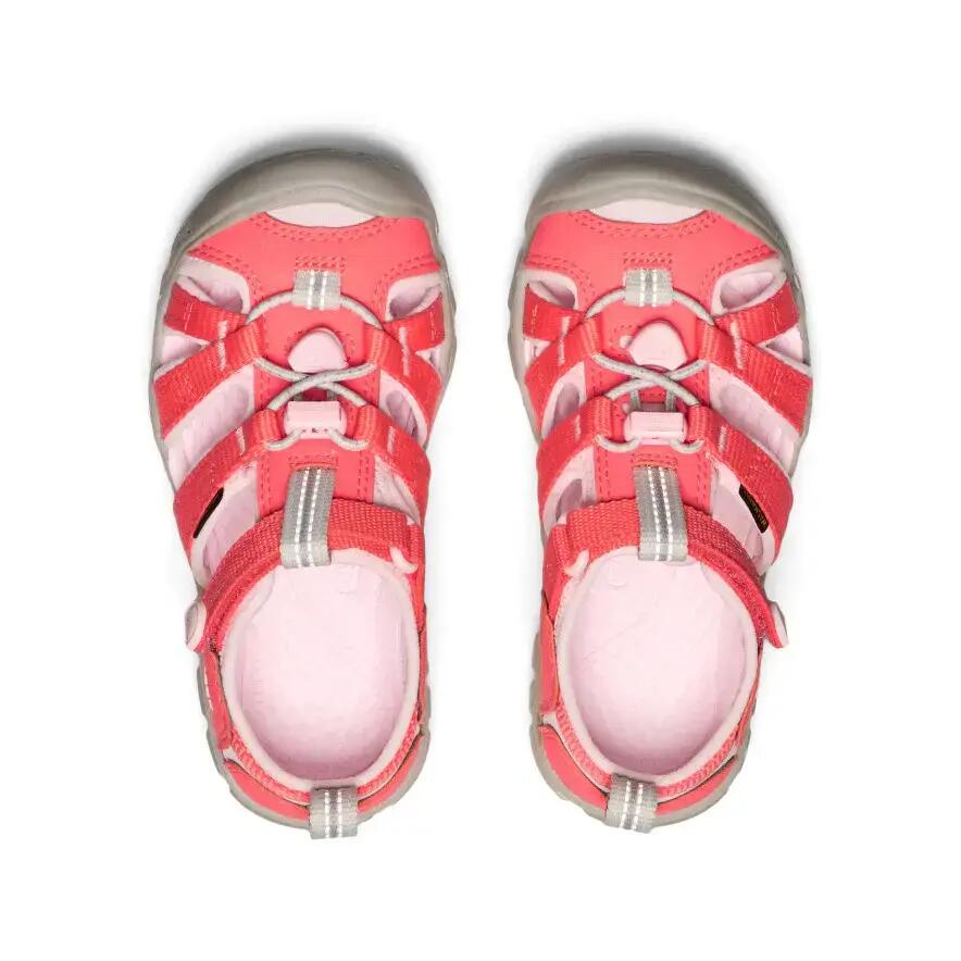 Sandali da trekking neonato Keen Seacamp II Cnx 3/3