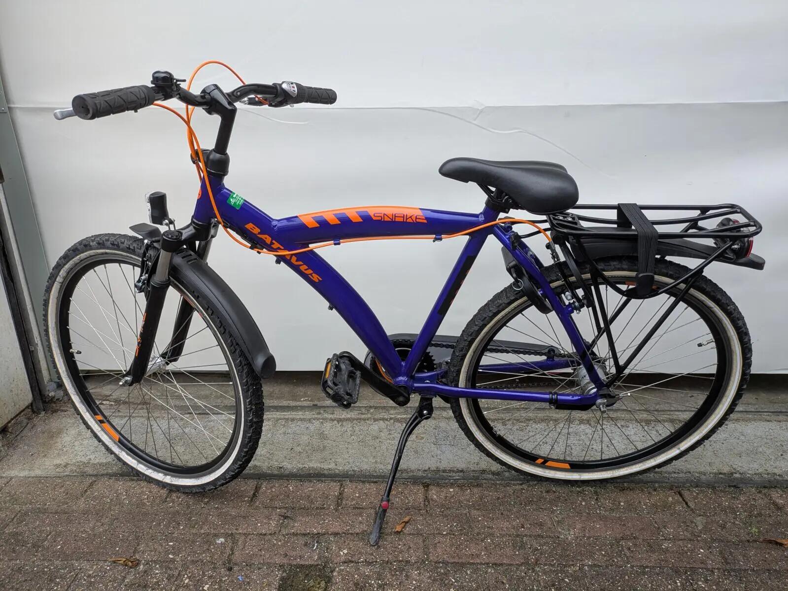Second Life - Gereviseerd Batavus Snake, blauw 5/6