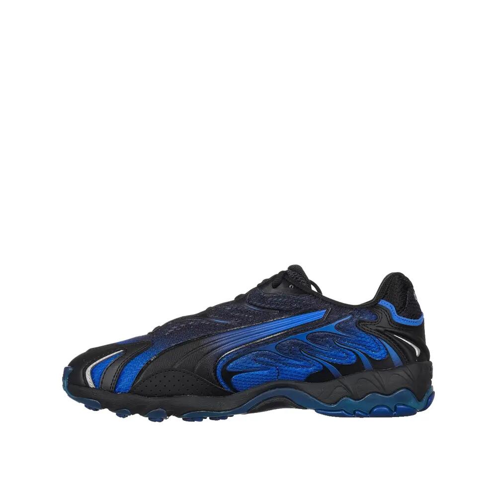 PUMA picture