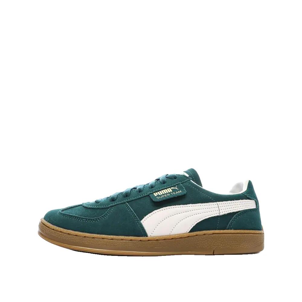 PUMA picture