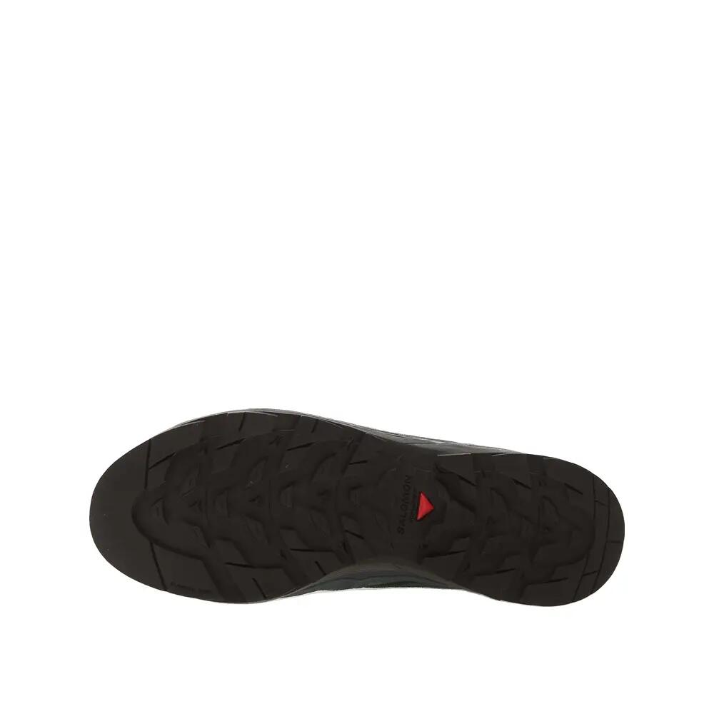 SALOMON picture