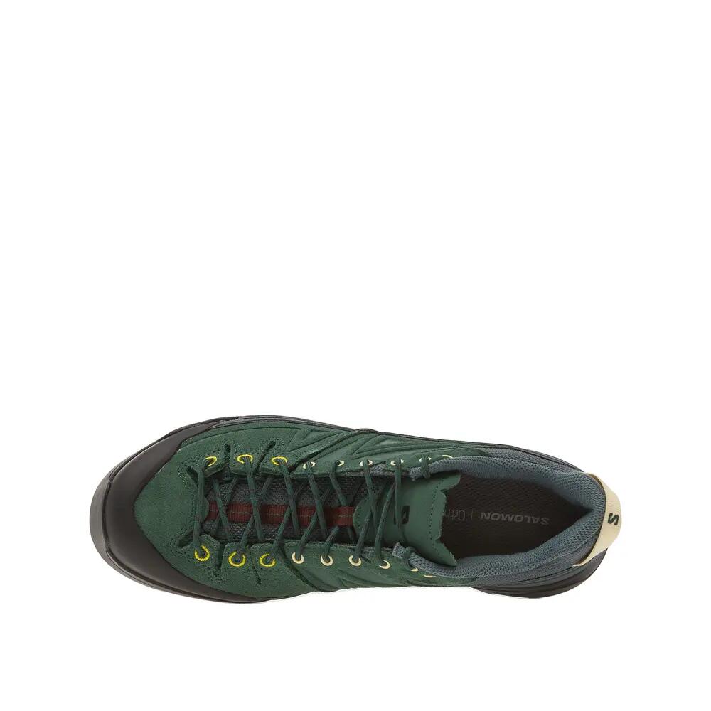 Chaussures de randonnée montagne Salomon X-alp LTR Vert/Noir 3/6